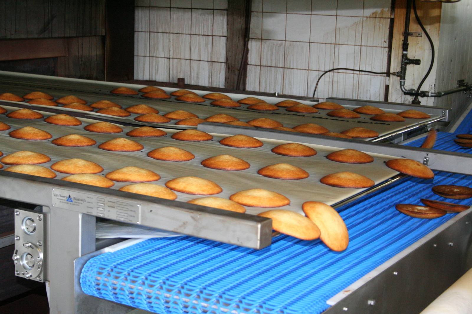 Bakkersland Waalwijk: Eierkoek-doseermachine